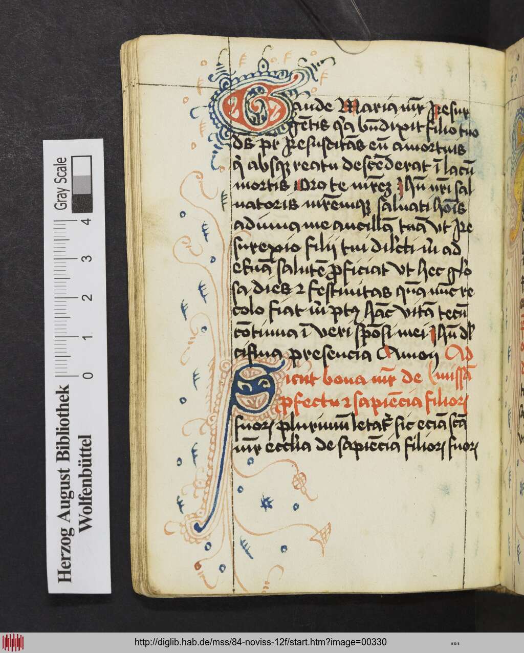 http://diglib.hab.de/mss/84-noviss-12f/00330.jpg