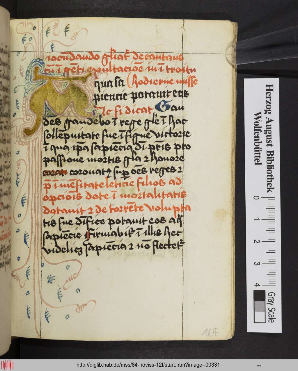 http://diglib.hab.de/mss/84-noviss-12f/00331.jpg