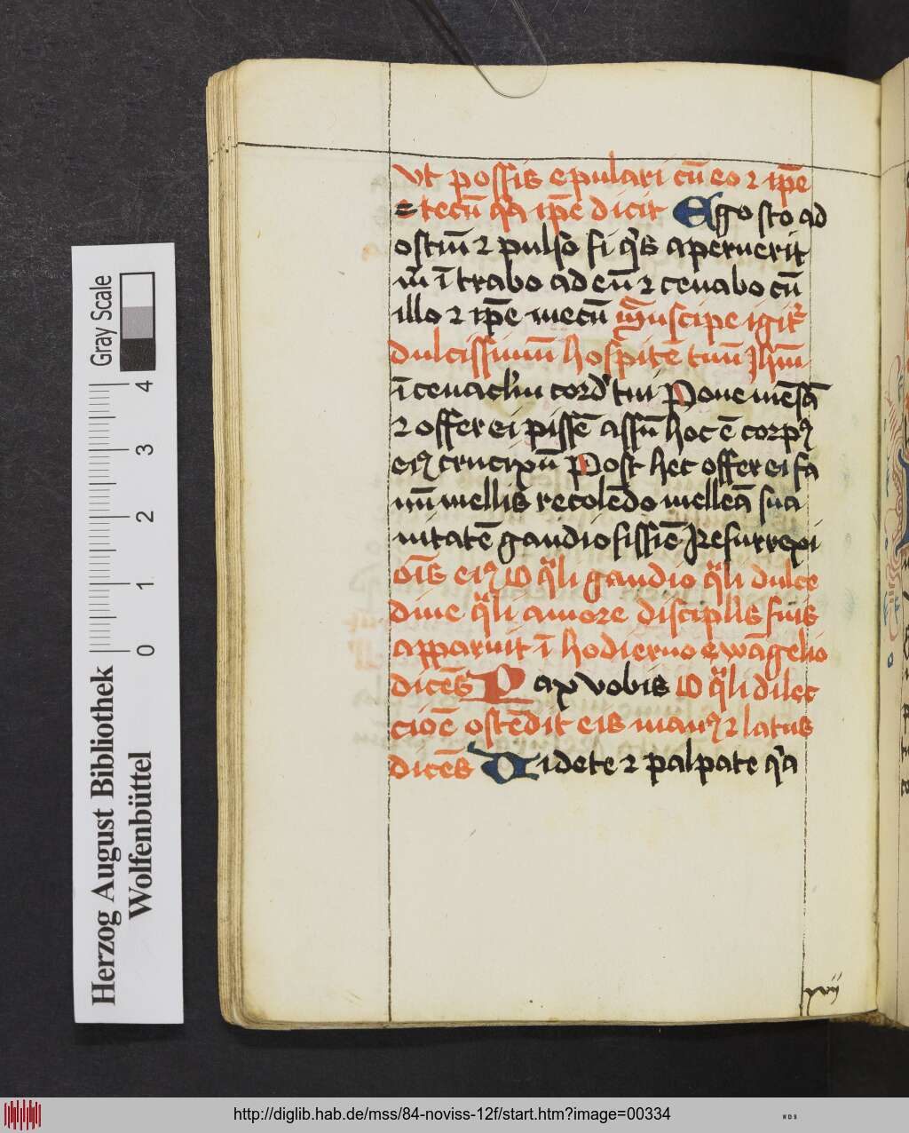 http://diglib.hab.de/mss/84-noviss-12f/00334.jpg