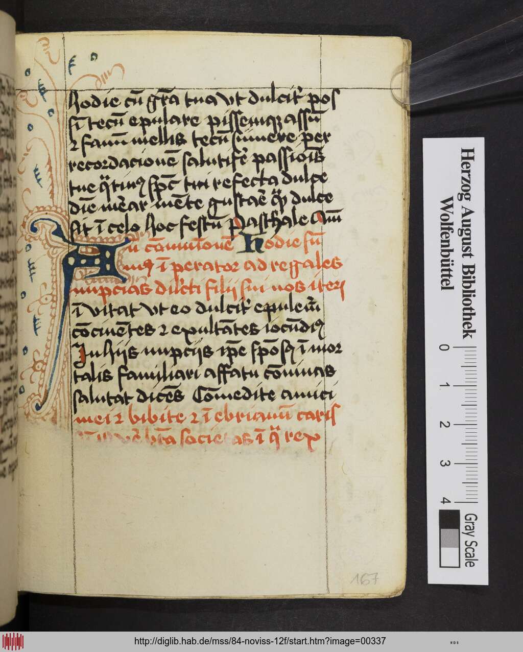 http://diglib.hab.de/mss/84-noviss-12f/00337.jpg