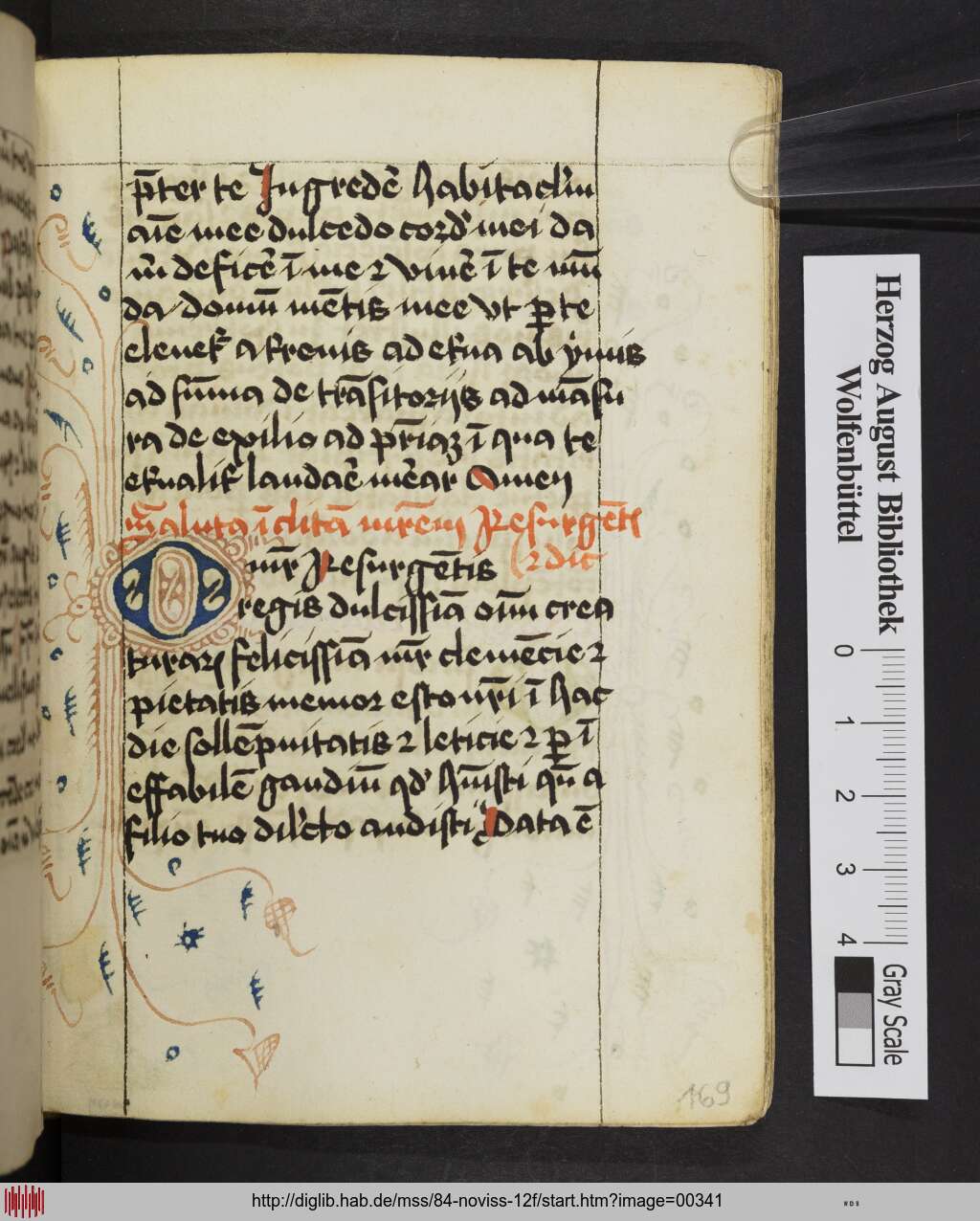 http://diglib.hab.de/mss/84-noviss-12f/00341.jpg
