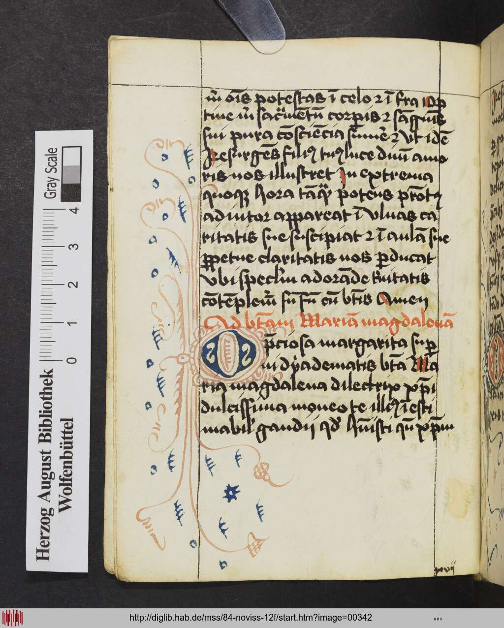 http://diglib.hab.de/mss/84-noviss-12f/00342.jpg