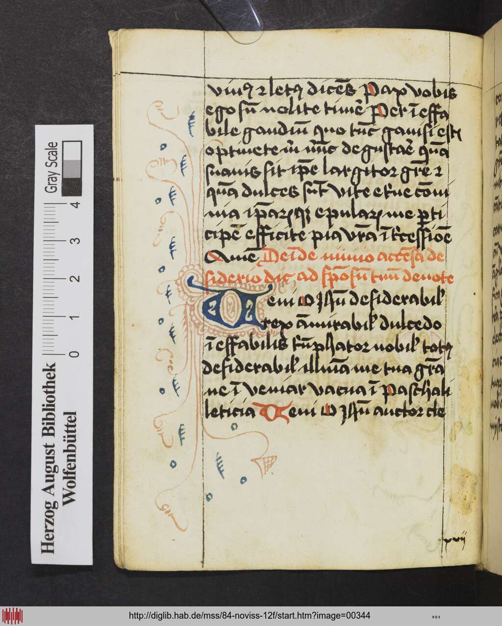 http://diglib.hab.de/mss/84-noviss-12f/00344.jpg