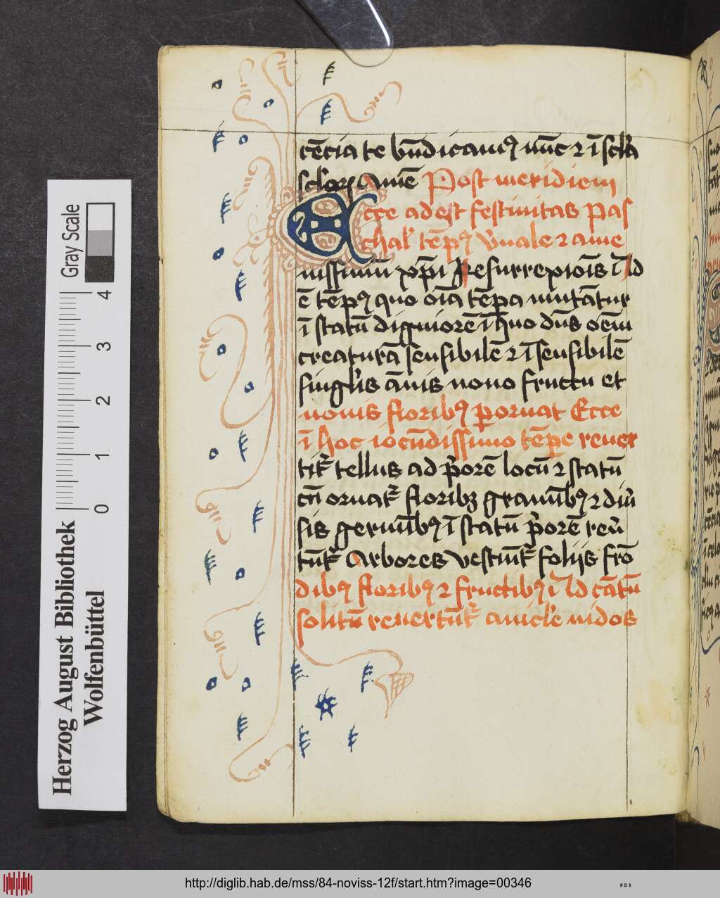 http://diglib.hab.de/mss/84-noviss-12f/00346.jpg