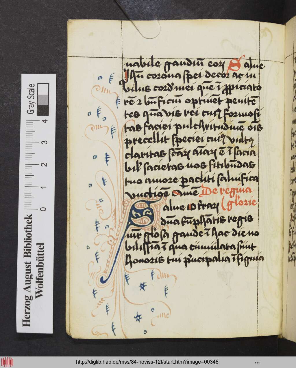 http://diglib.hab.de/mss/84-noviss-12f/00348.jpg