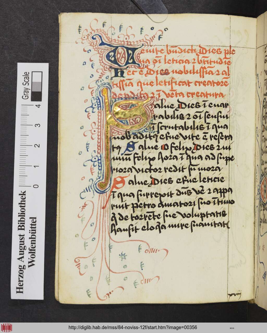 http://diglib.hab.de/mss/84-noviss-12f/00356.jpg