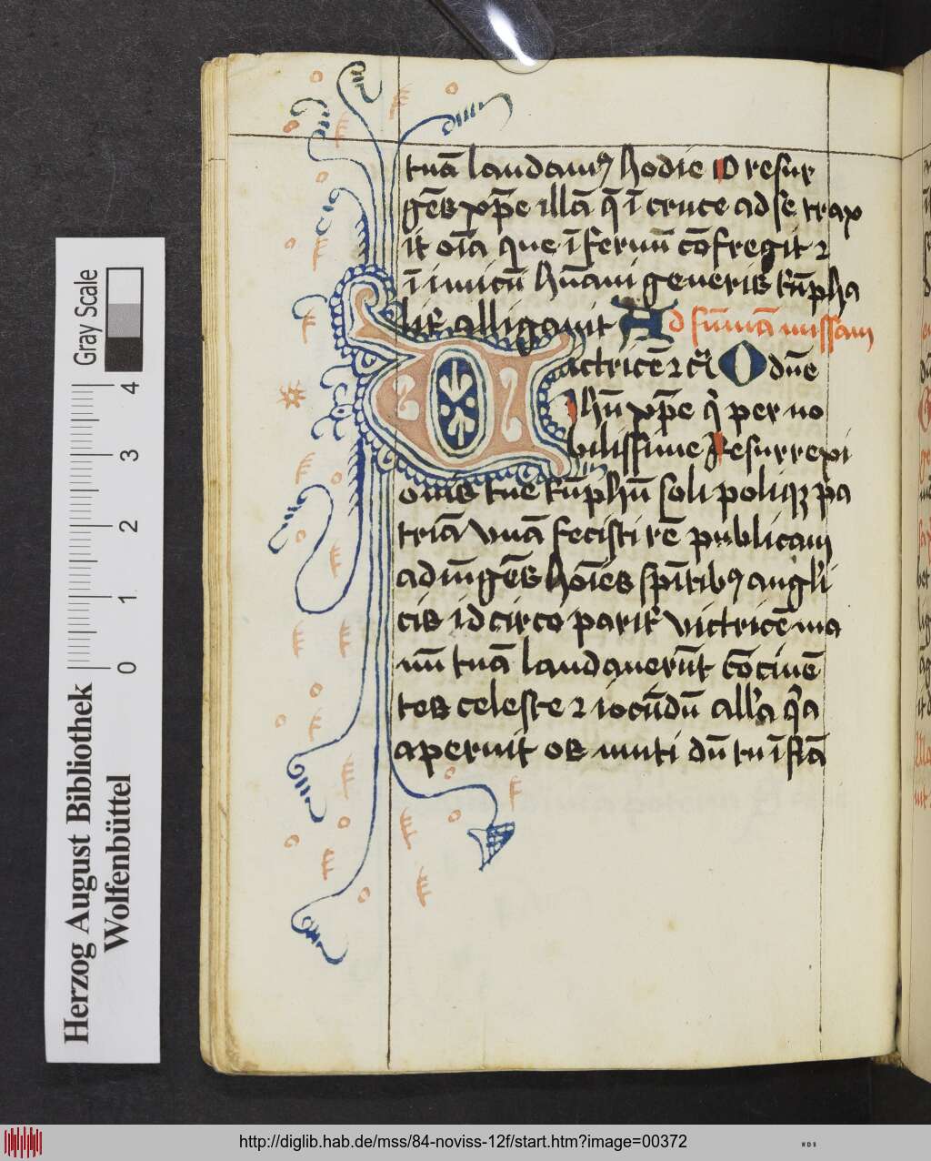 http://diglib.hab.de/mss/84-noviss-12f/00372.jpg
