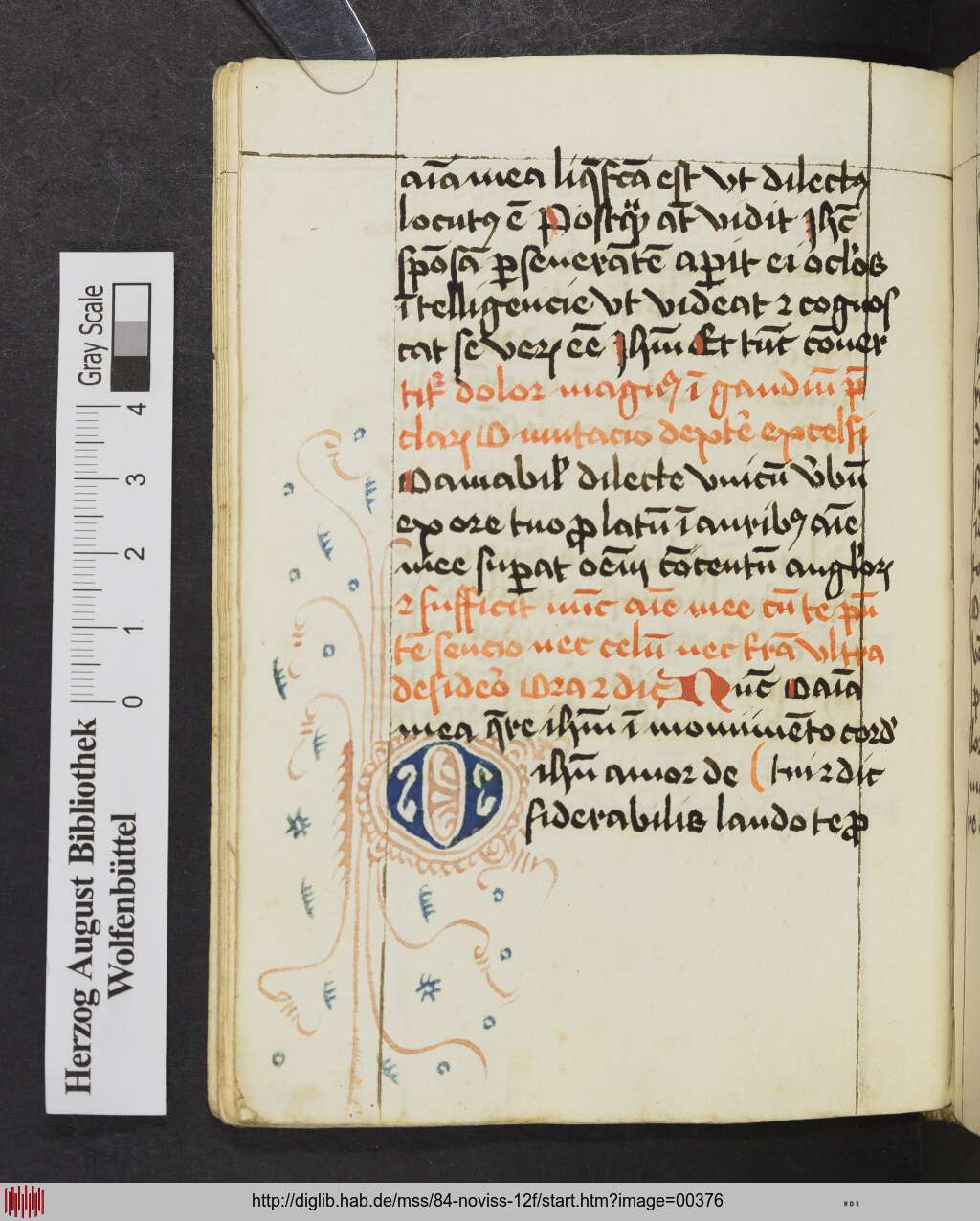 http://diglib.hab.de/mss/84-noviss-12f/00376.jpg