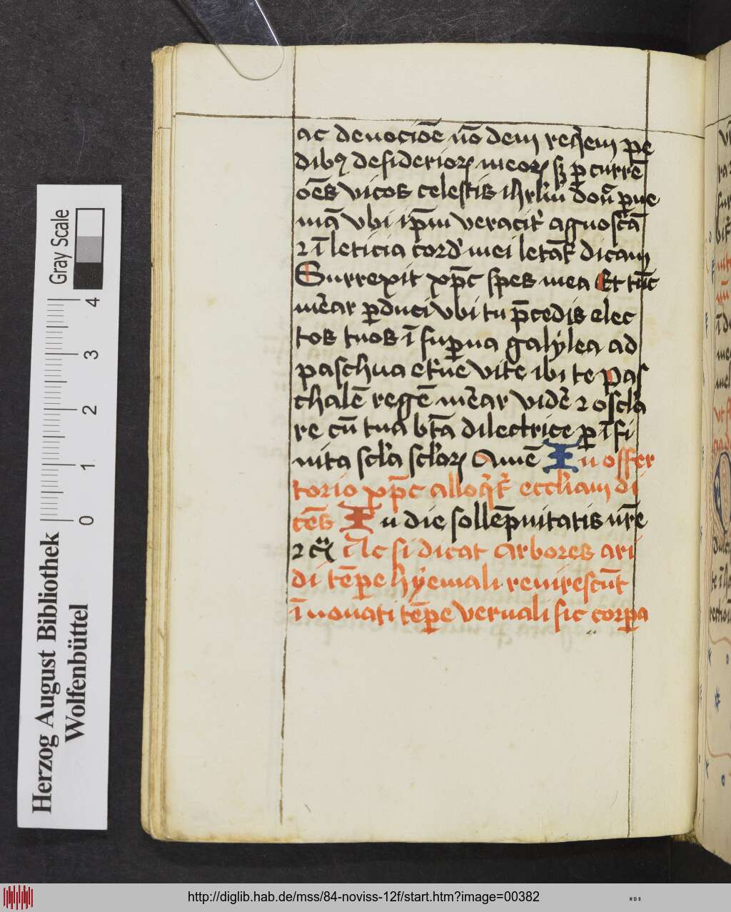 http://diglib.hab.de/mss/84-noviss-12f/00382.jpg