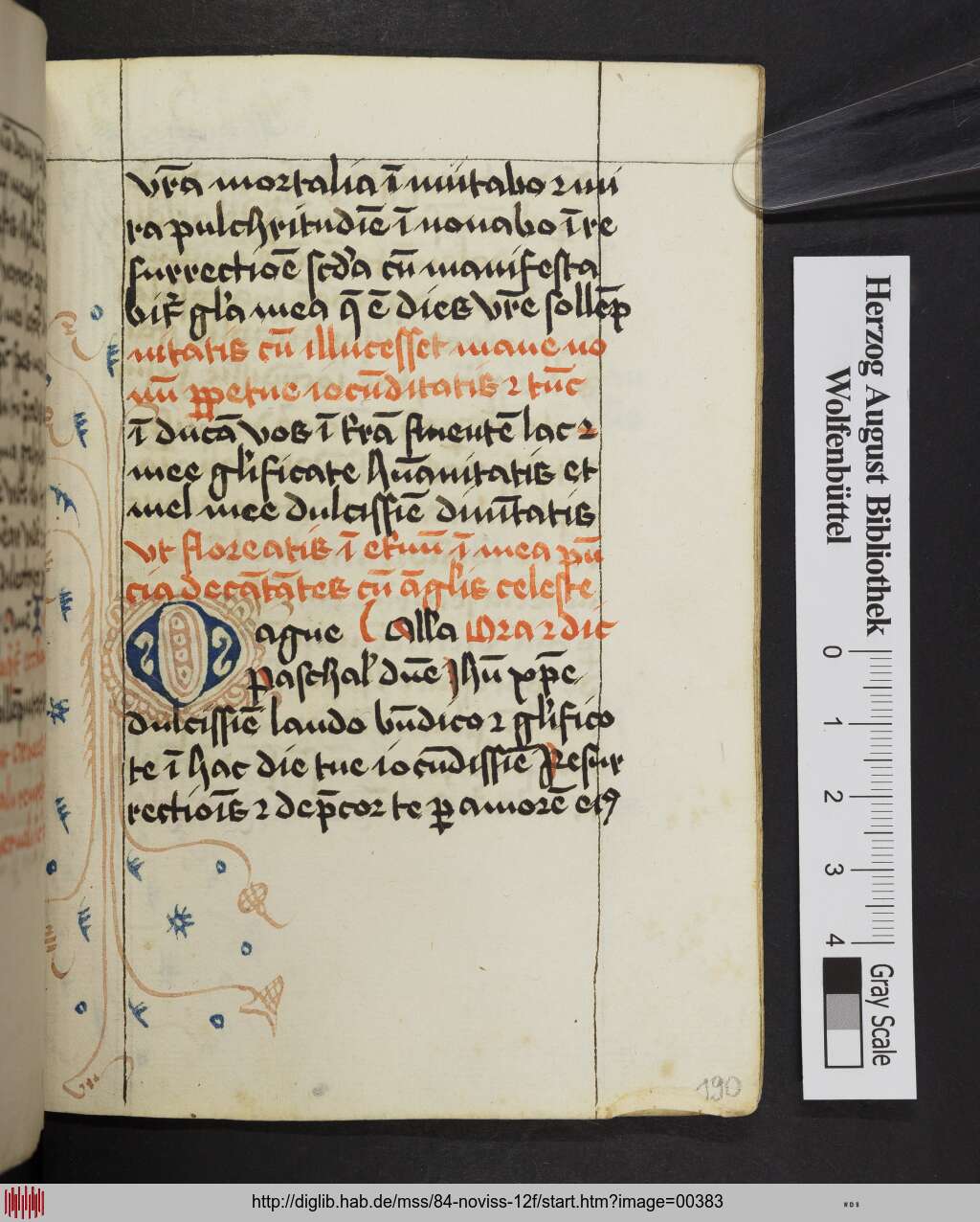 http://diglib.hab.de/mss/84-noviss-12f/00383.jpg