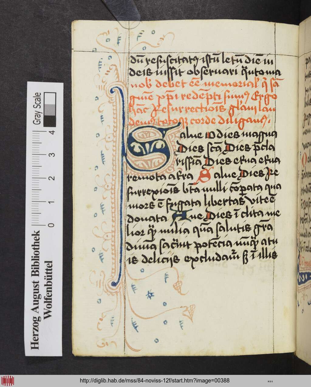 http://diglib.hab.de/mss/84-noviss-12f/00388.jpg