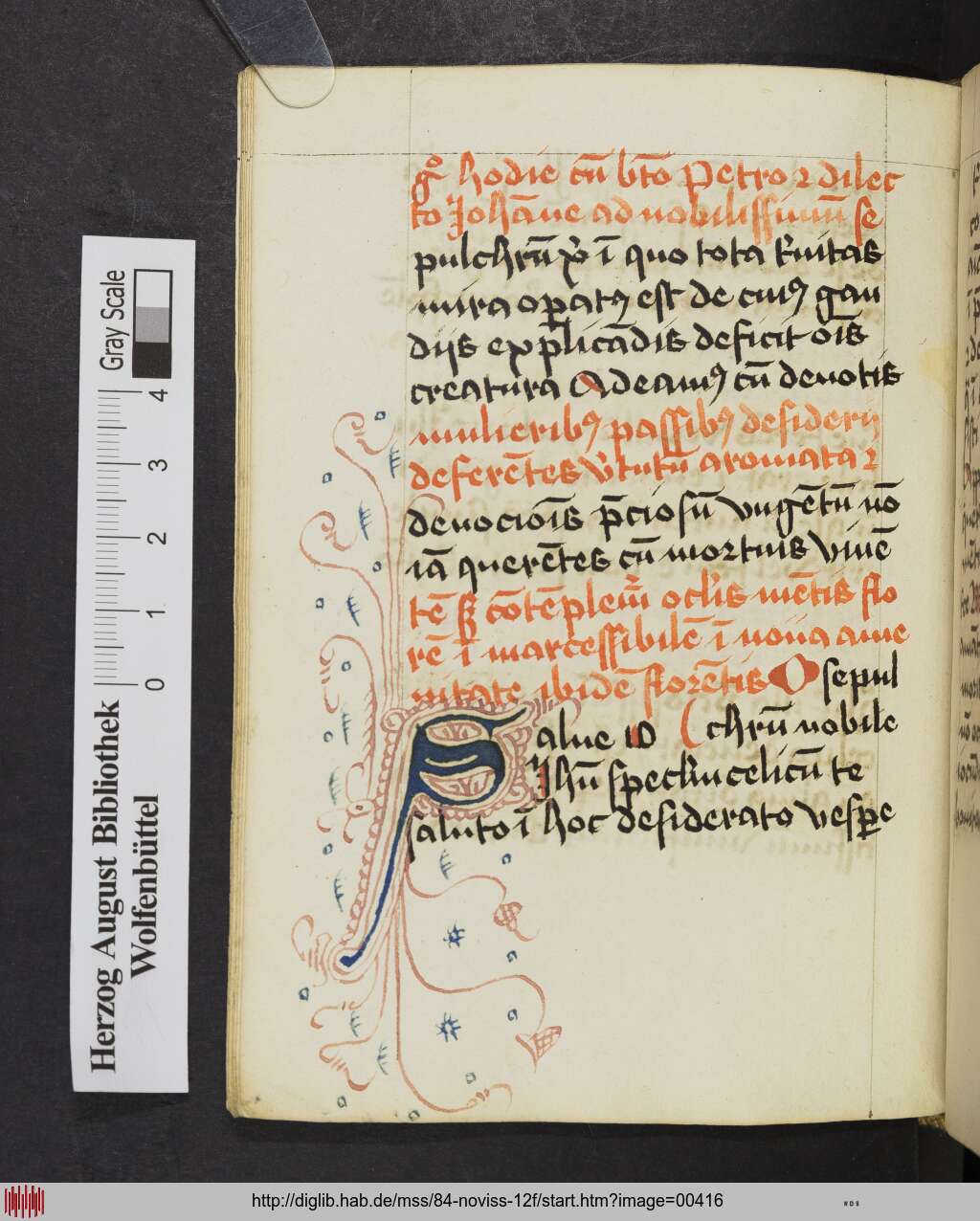 http://diglib.hab.de/mss/84-noviss-12f/00416.jpg