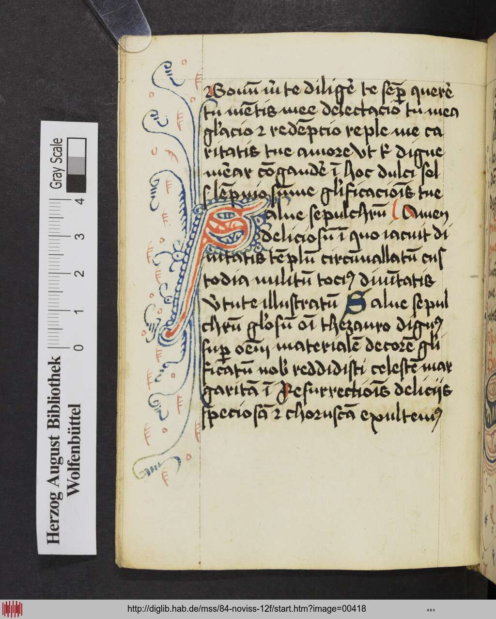 http://diglib.hab.de/mss/84-noviss-12f/00418.jpg