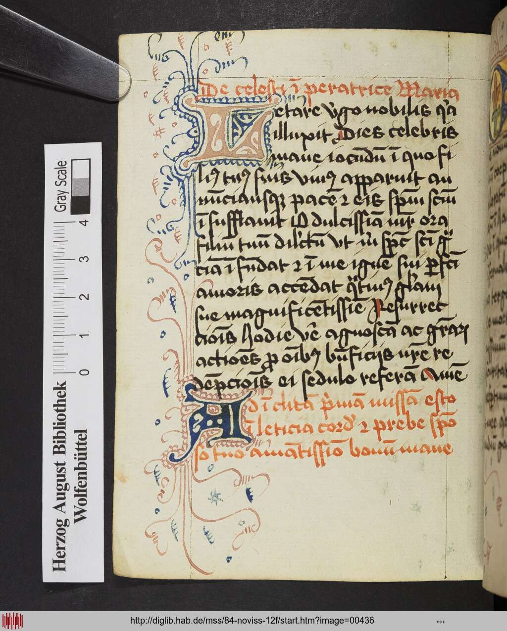 http://diglib.hab.de/mss/84-noviss-12f/00436.jpg