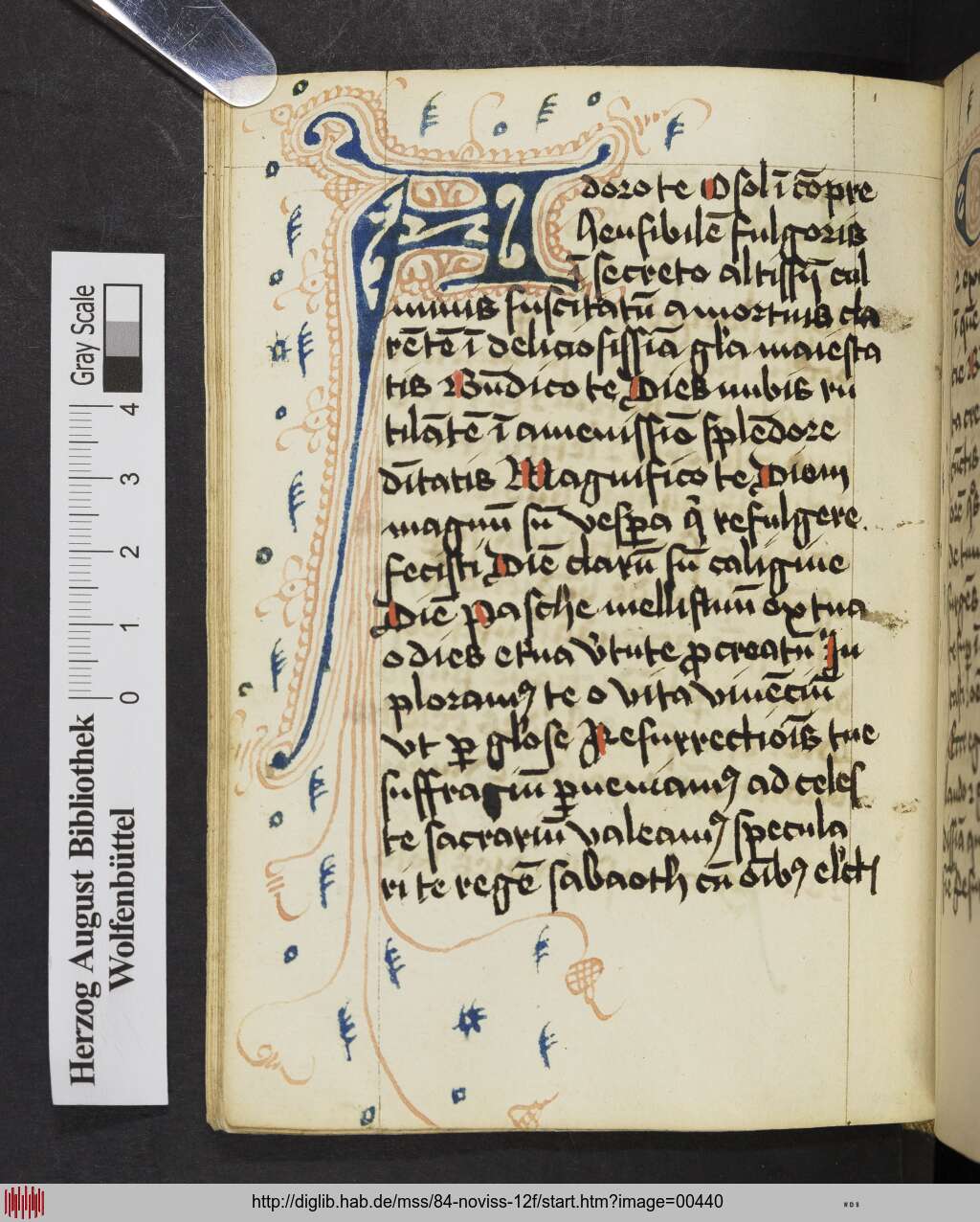 http://diglib.hab.de/mss/84-noviss-12f/00440.jpg