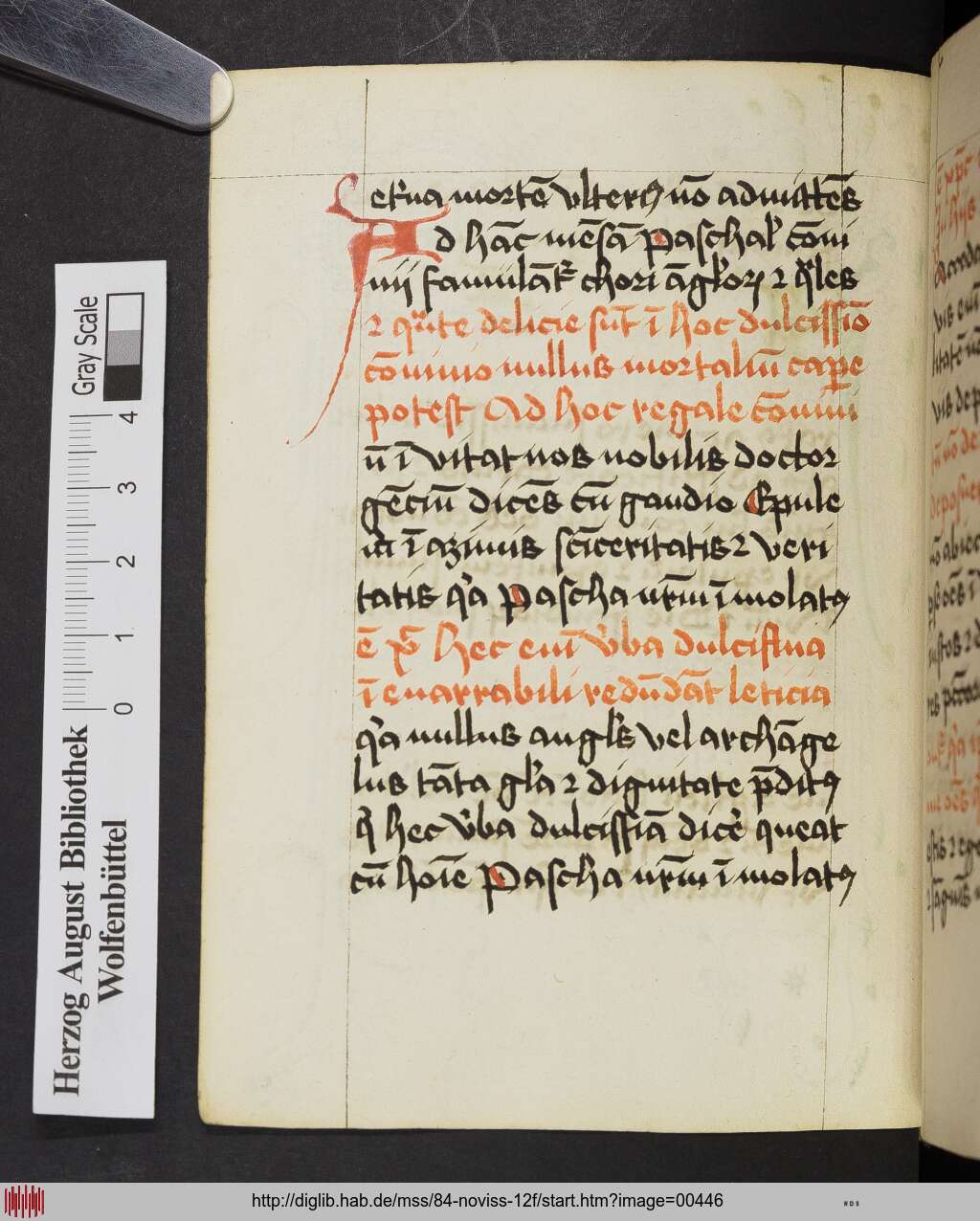 http://diglib.hab.de/mss/84-noviss-12f/00446.jpg