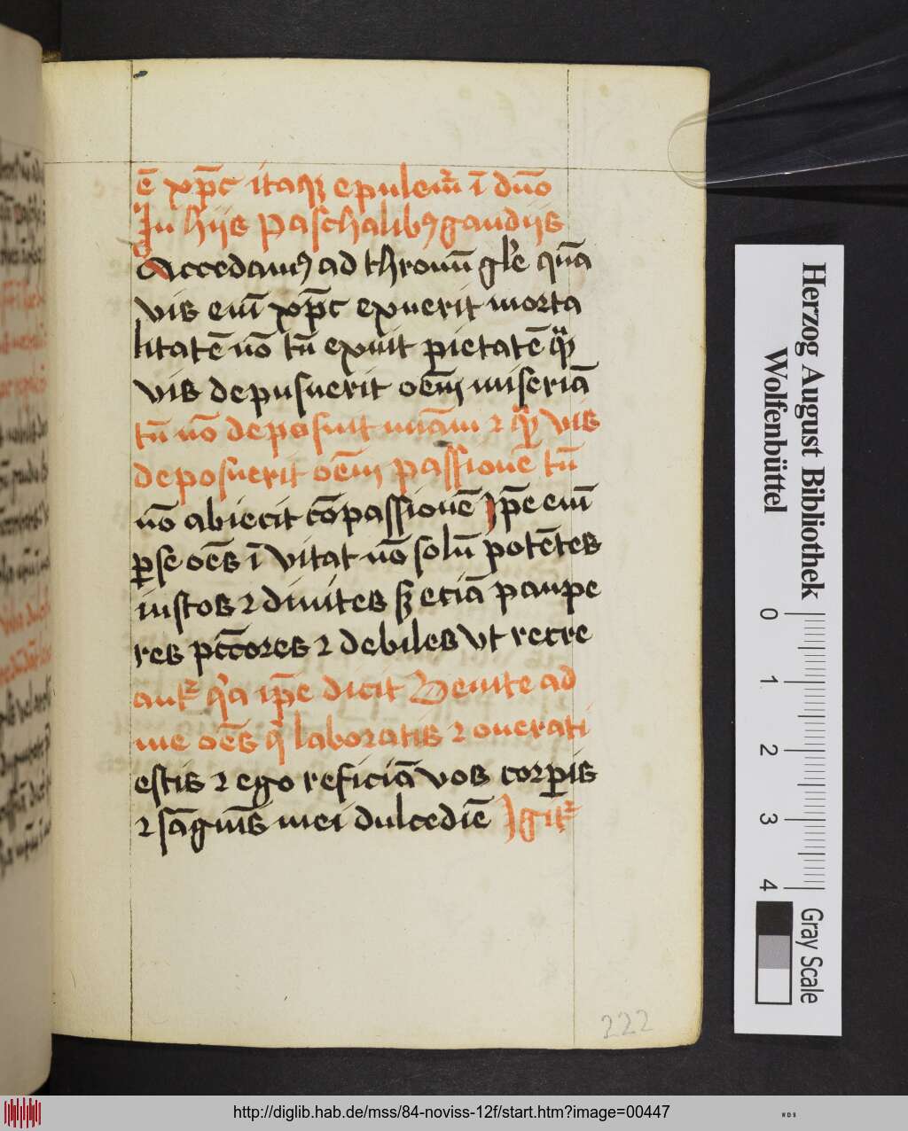 http://diglib.hab.de/mss/84-noviss-12f/00447.jpg