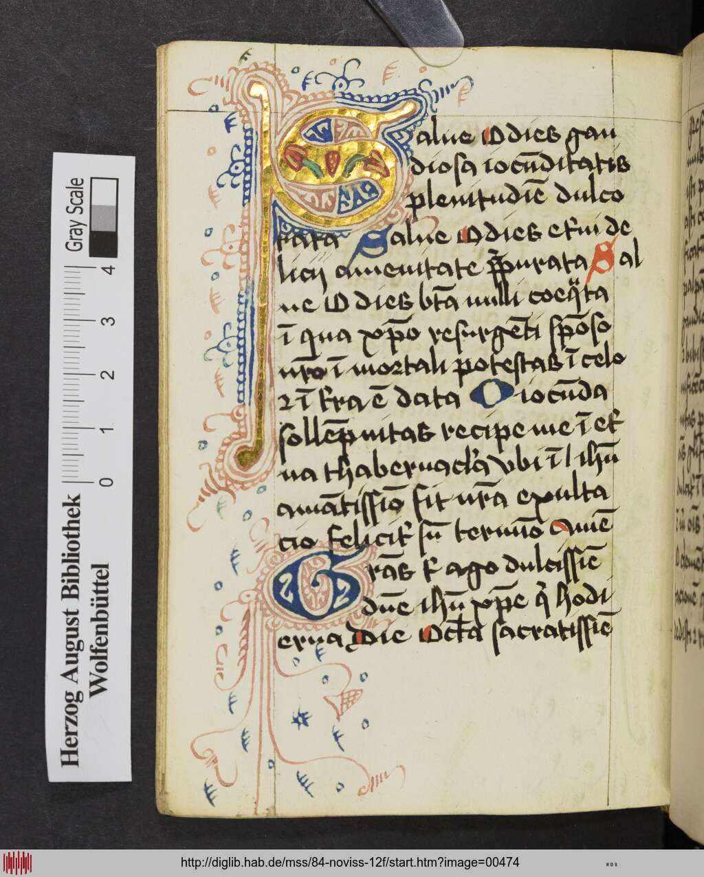 http://diglib.hab.de/mss/84-noviss-12f/00474.jpg