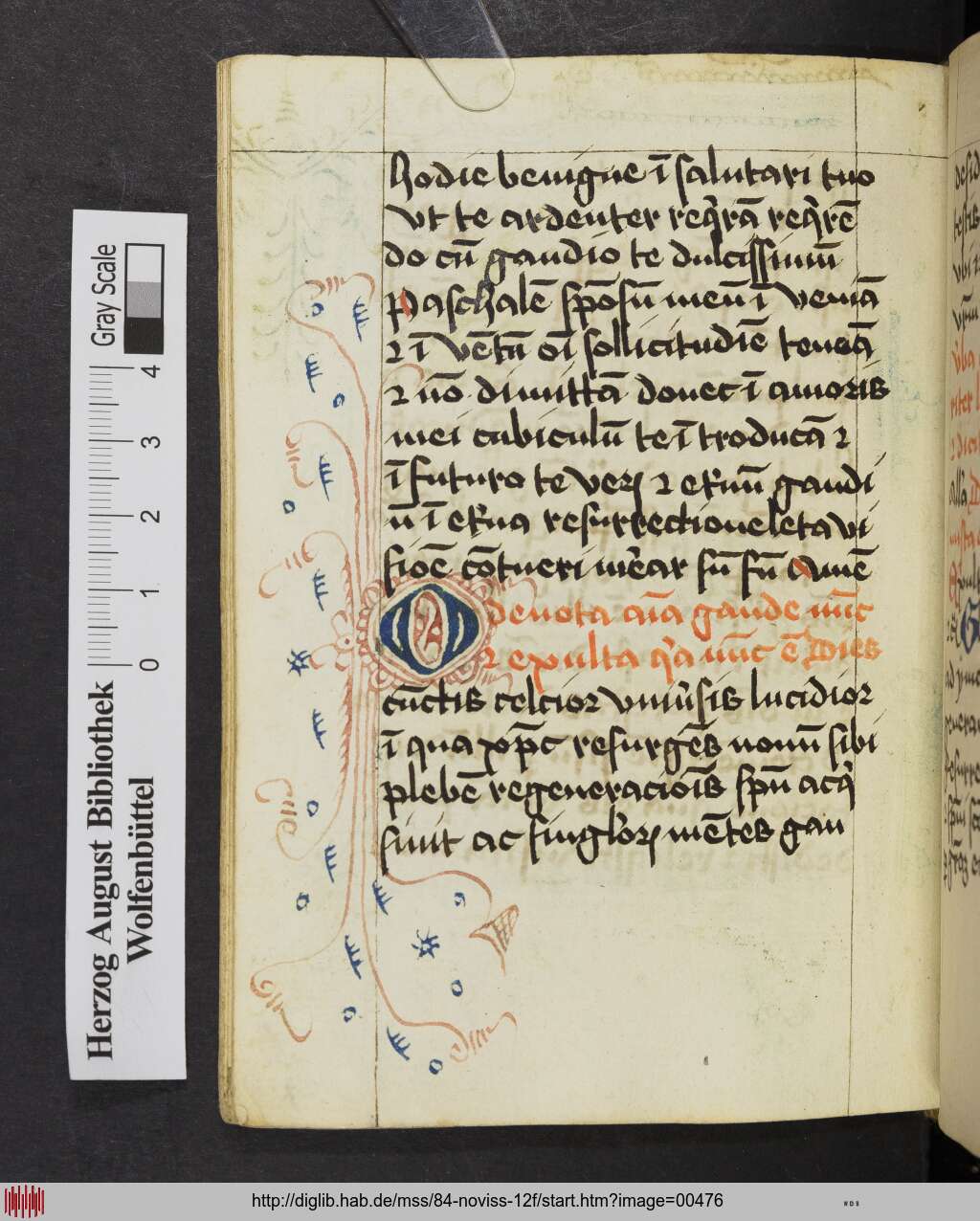 http://diglib.hab.de/mss/84-noviss-12f/00476.jpg