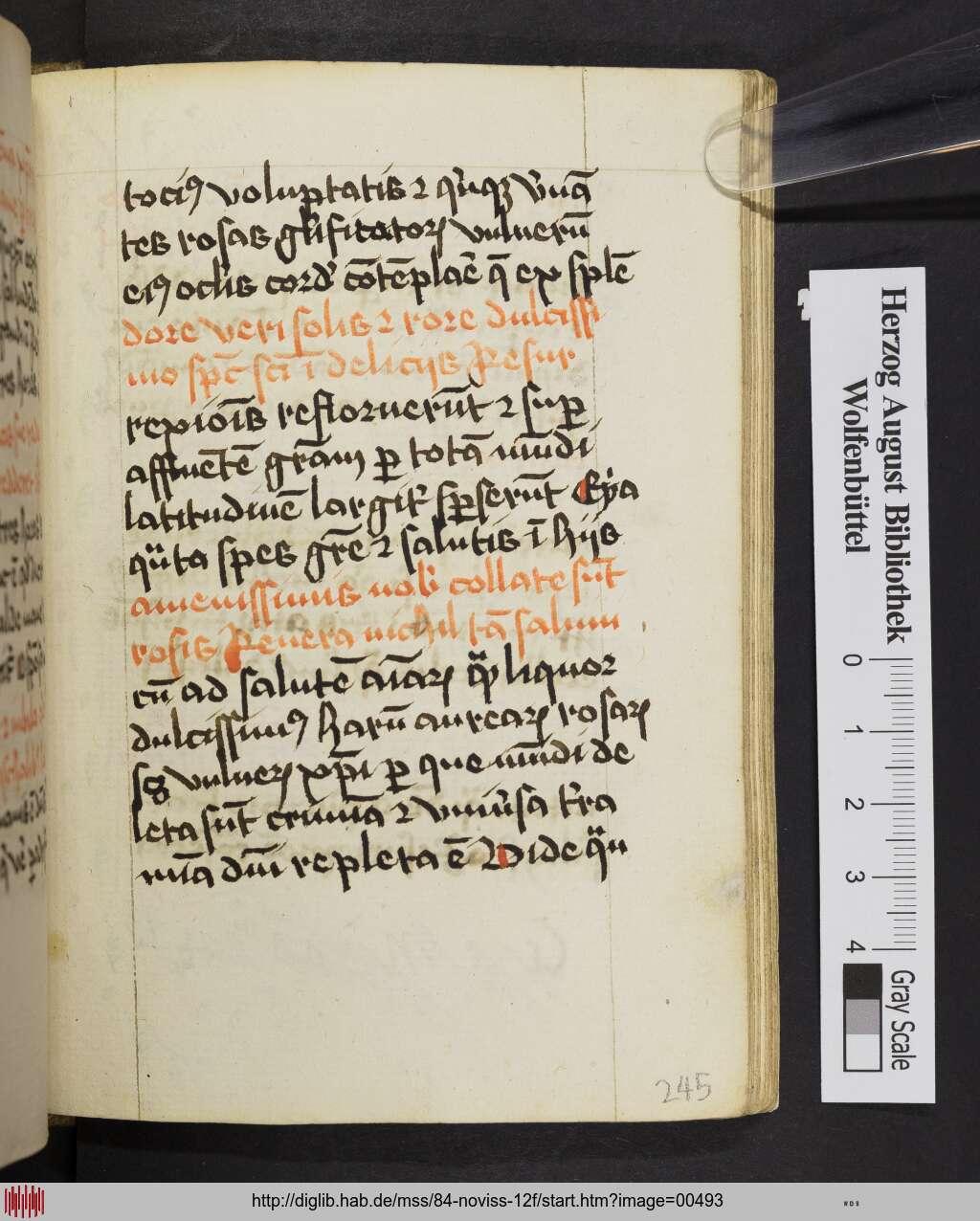 http://diglib.hab.de/mss/84-noviss-12f/00493.jpg