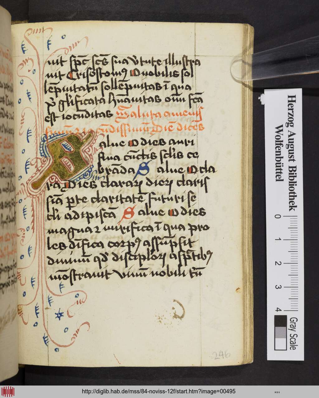 http://diglib.hab.de/mss/84-noviss-12f/00495.jpg