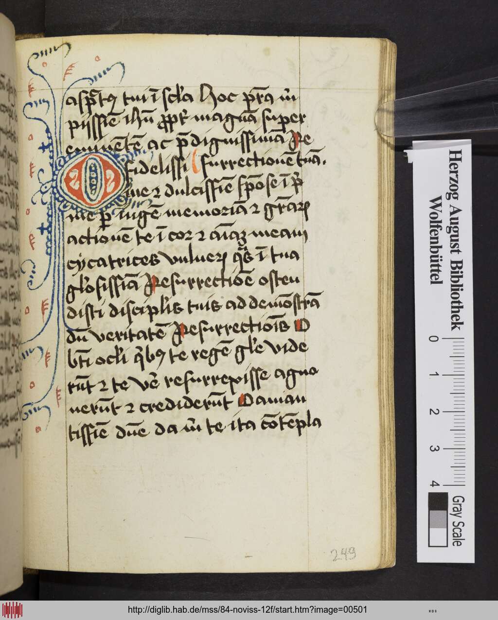 http://diglib.hab.de/mss/84-noviss-12f/00501.jpg