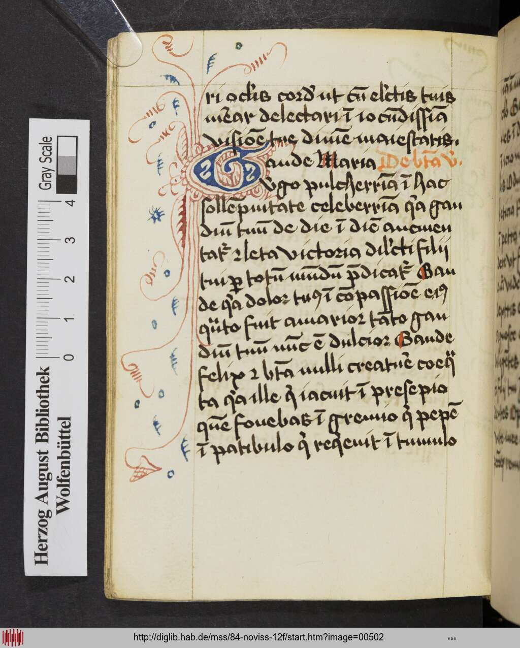 http://diglib.hab.de/mss/84-noviss-12f/00502.jpg