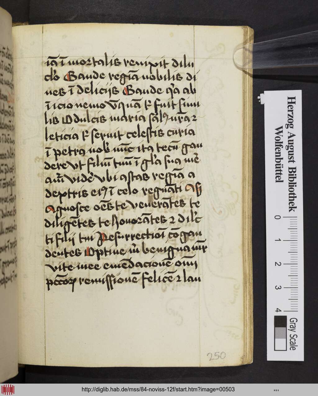 http://diglib.hab.de/mss/84-noviss-12f/00503.jpg
