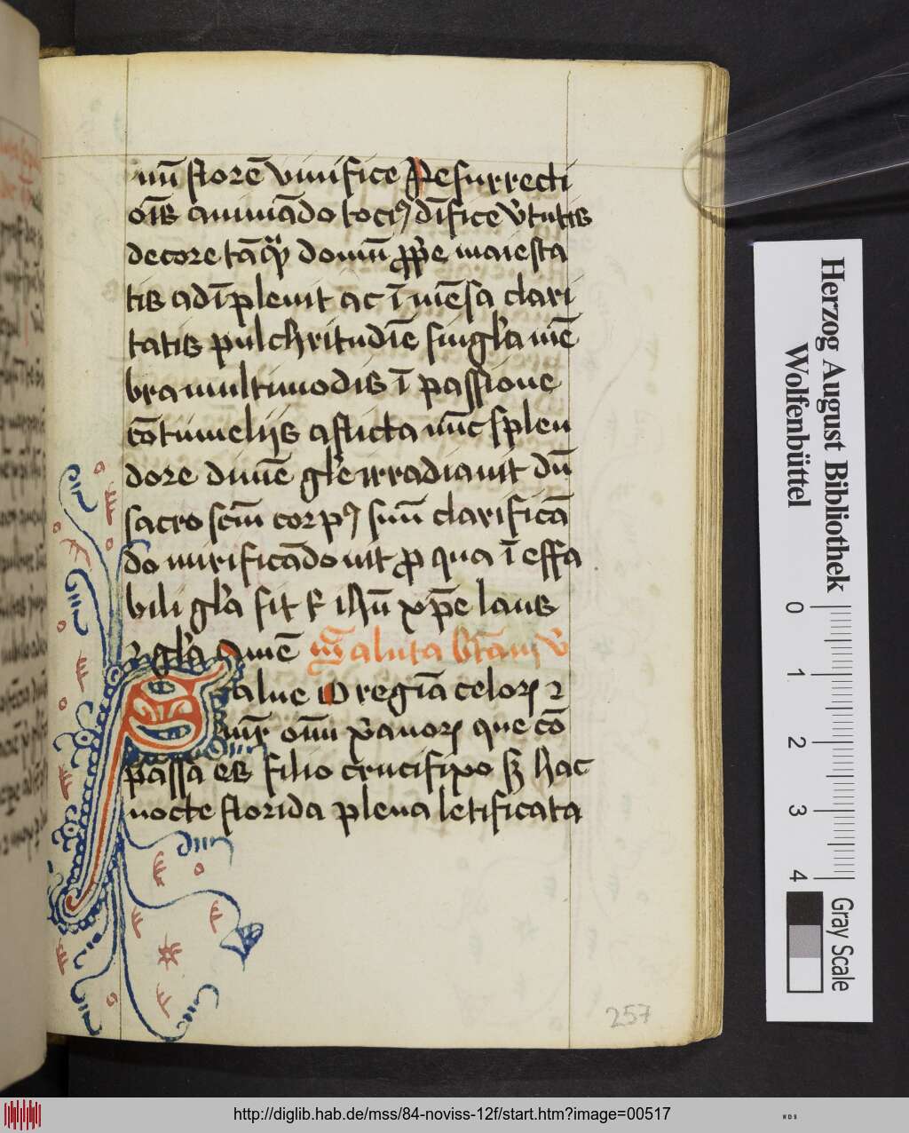 http://diglib.hab.de/mss/84-noviss-12f/00517.jpg