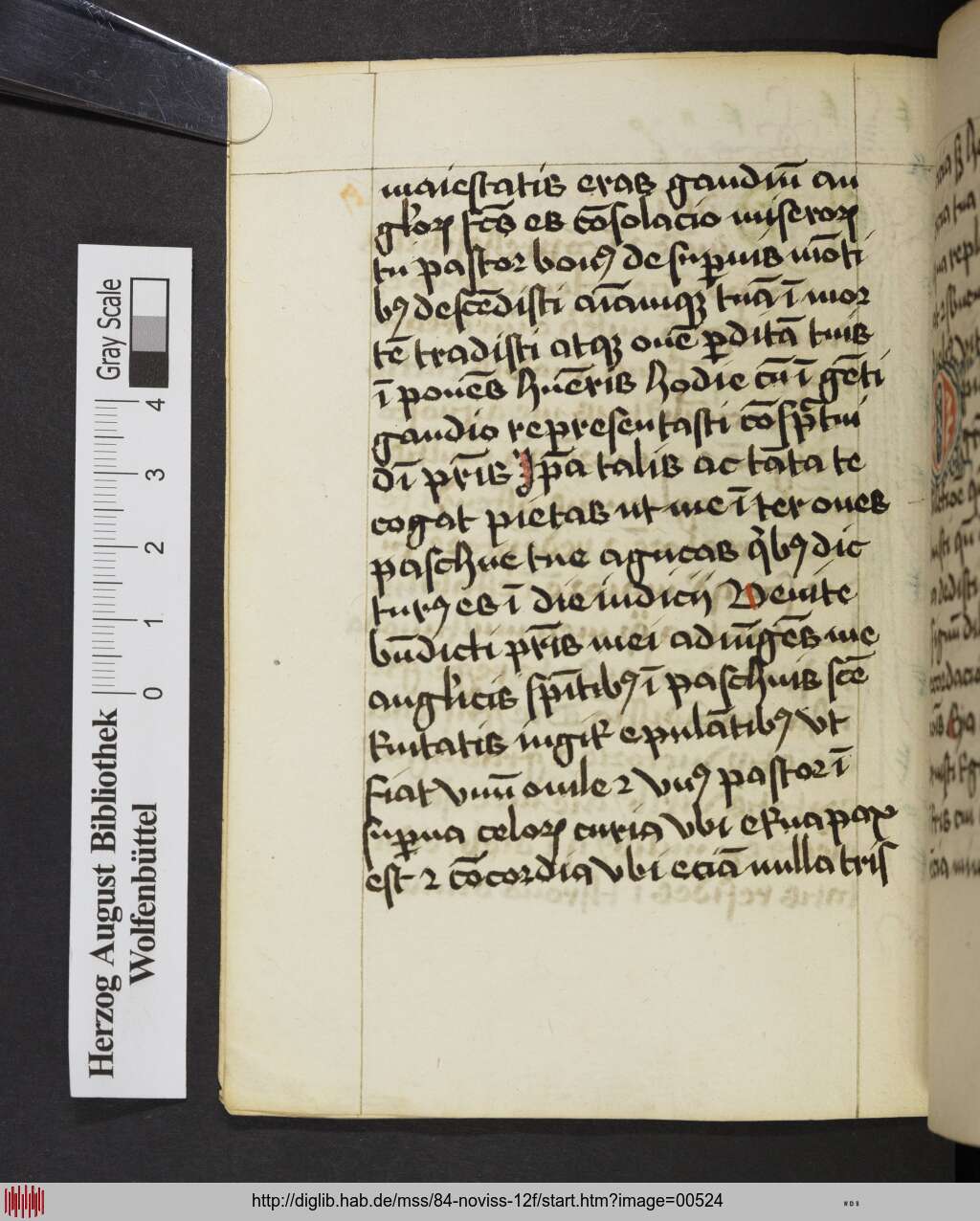 http://diglib.hab.de/mss/84-noviss-12f/00524.jpg