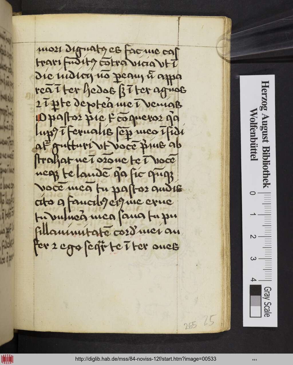 http://diglib.hab.de/mss/84-noviss-12f/00533.jpg