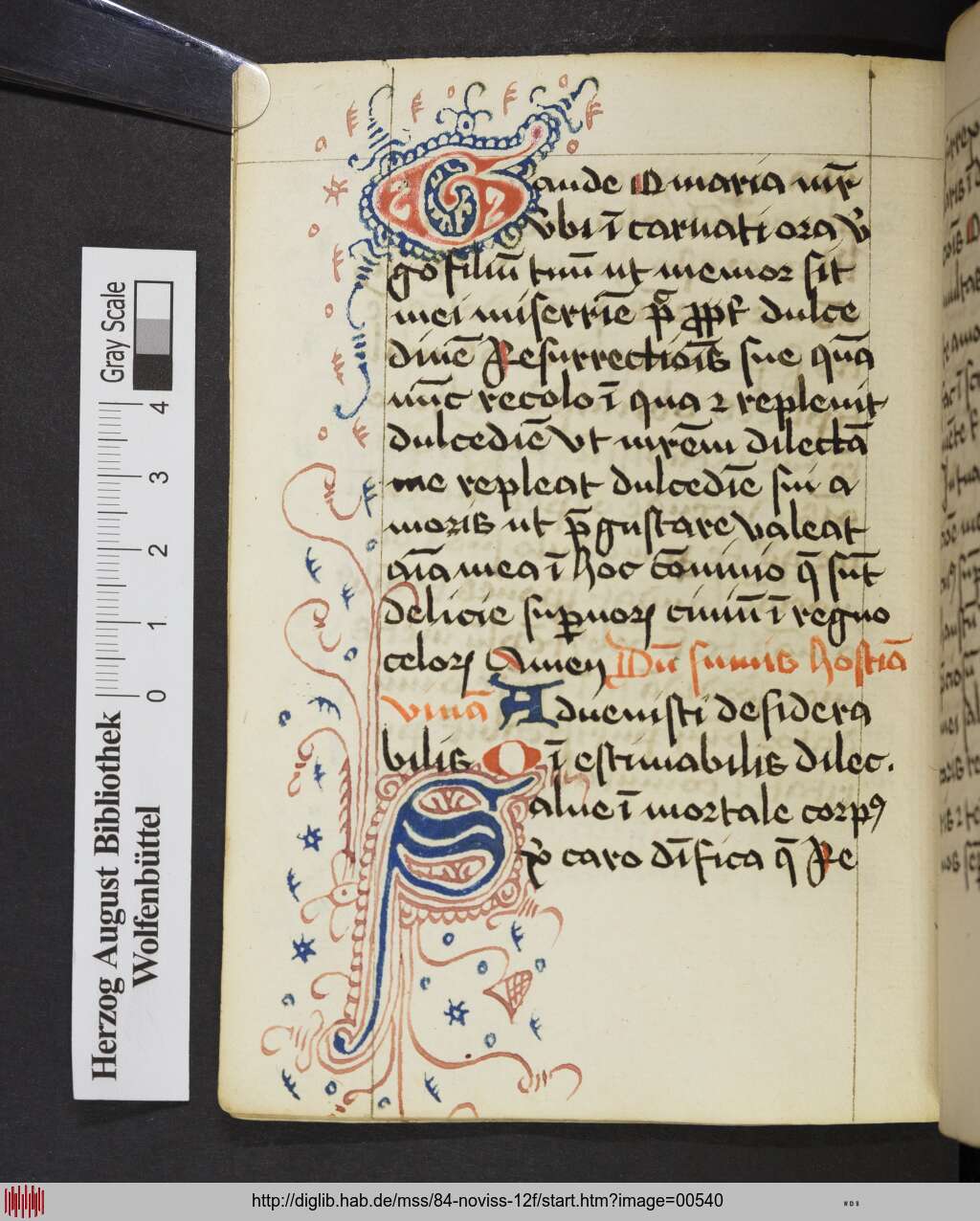 http://diglib.hab.de/mss/84-noviss-12f/00540.jpg