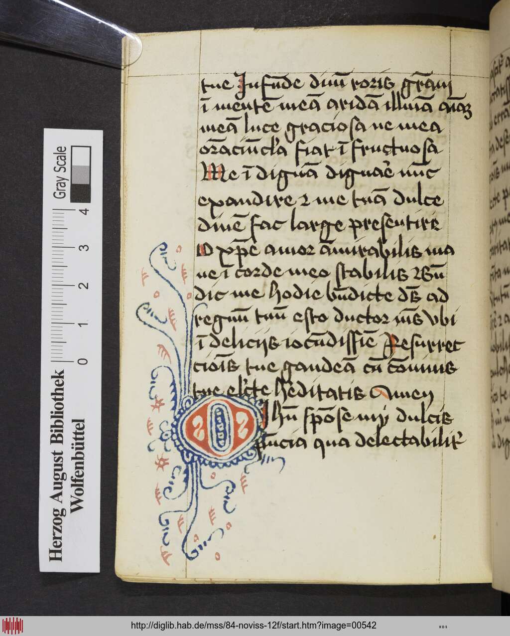 http://diglib.hab.de/mss/84-noviss-12f/00542.jpg