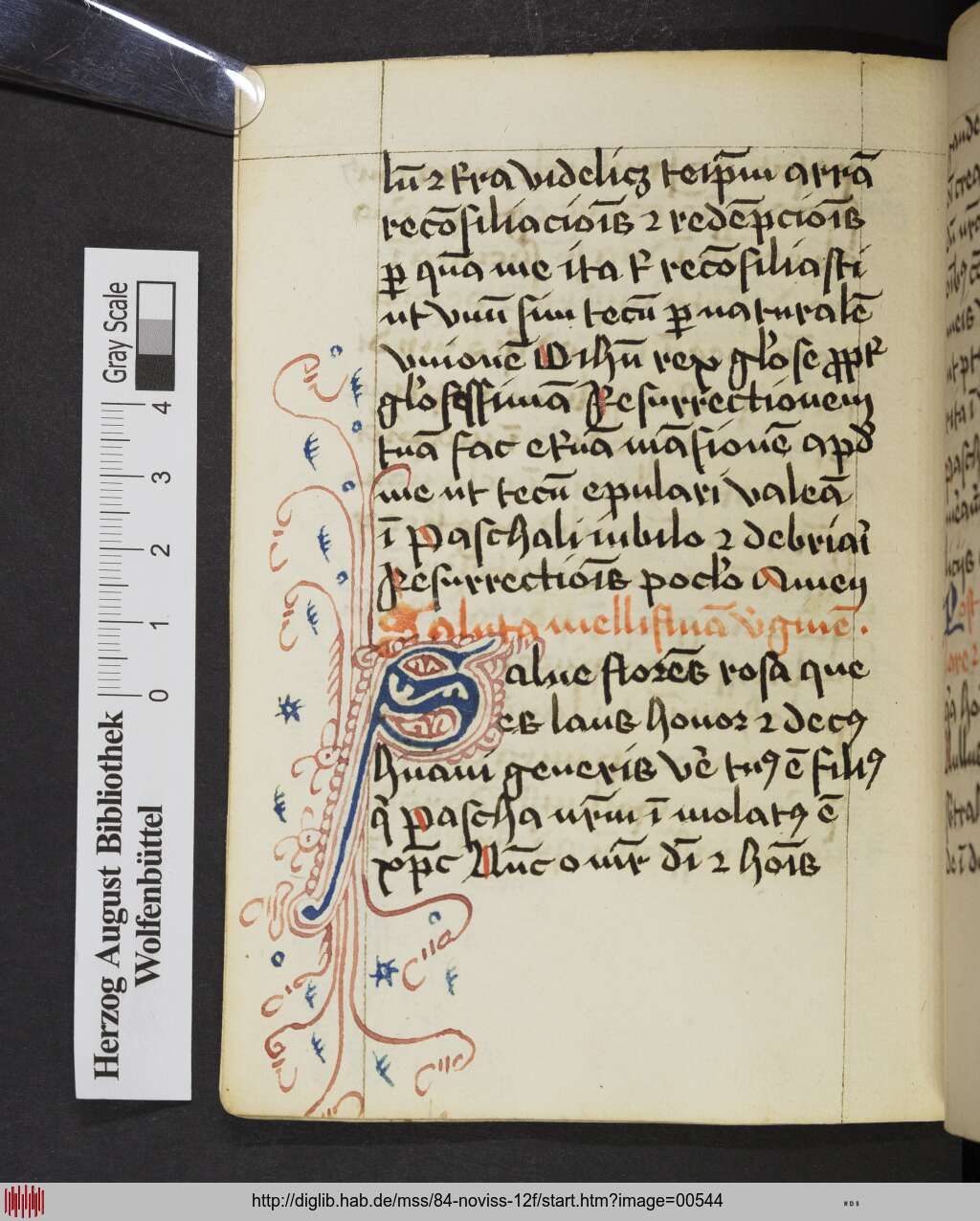 http://diglib.hab.de/mss/84-noviss-12f/00544.jpg