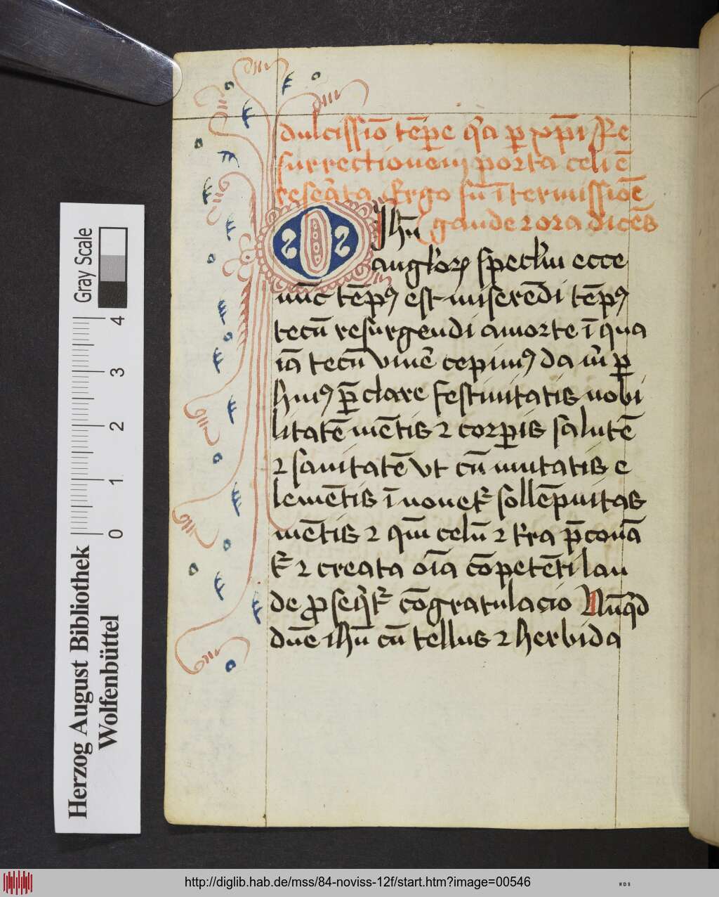 http://diglib.hab.de/mss/84-noviss-12f/00546.jpg