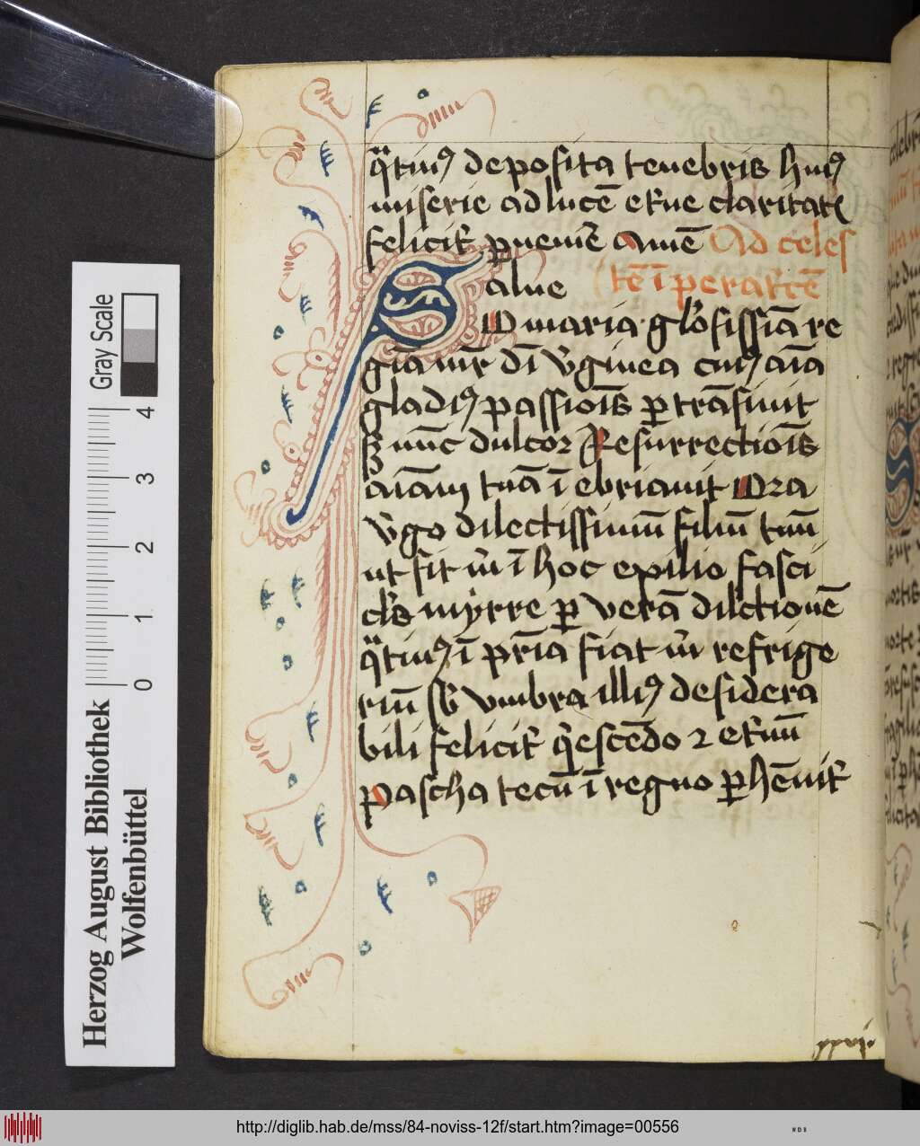 http://diglib.hab.de/mss/84-noviss-12f/00556.jpg