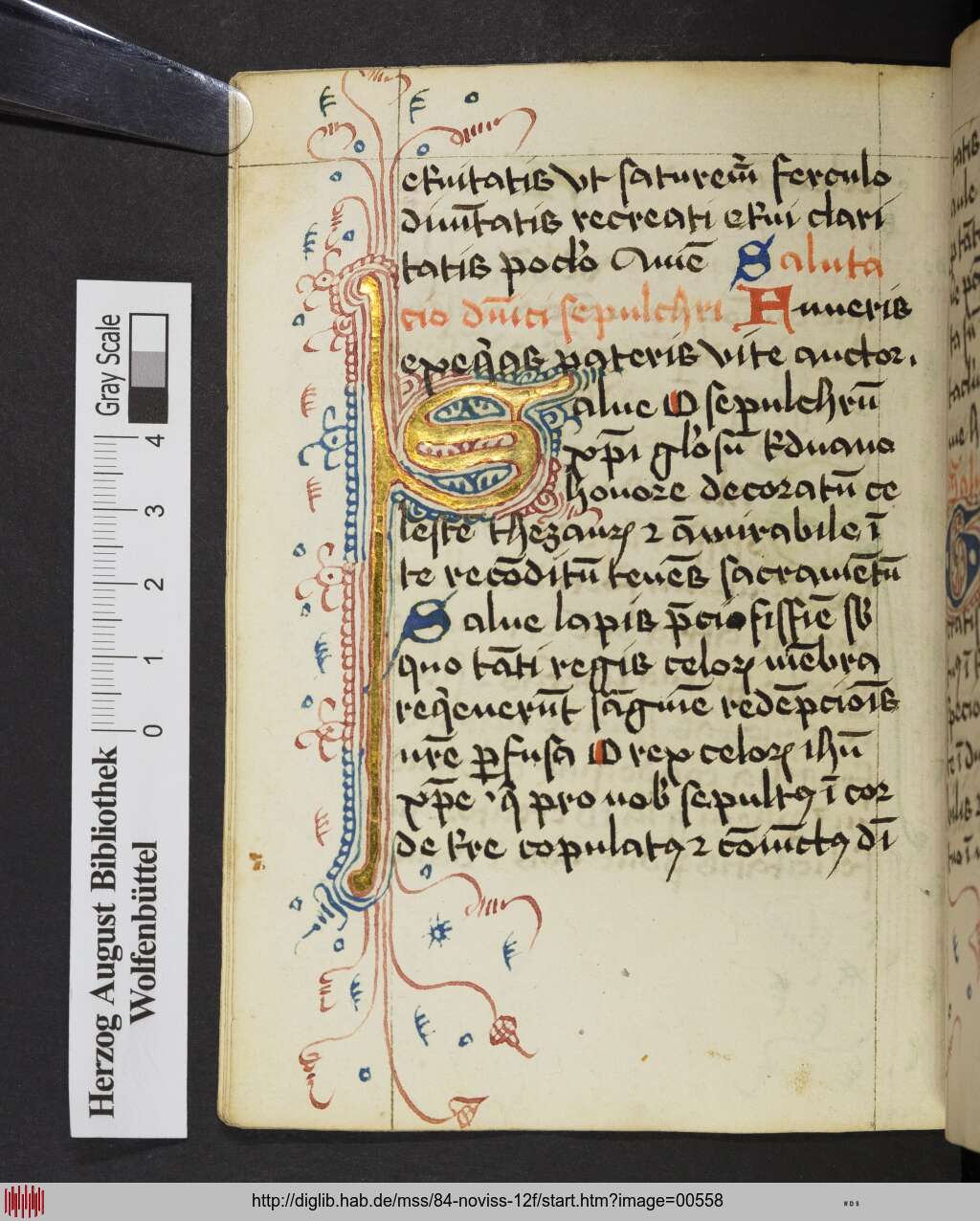 http://diglib.hab.de/mss/84-noviss-12f/00558.jpg