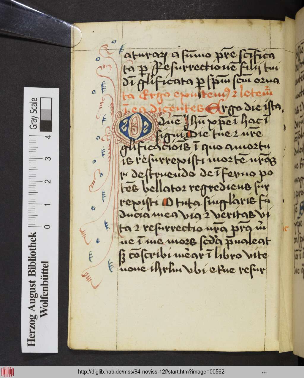 http://diglib.hab.de/mss/84-noviss-12f/00562.jpg