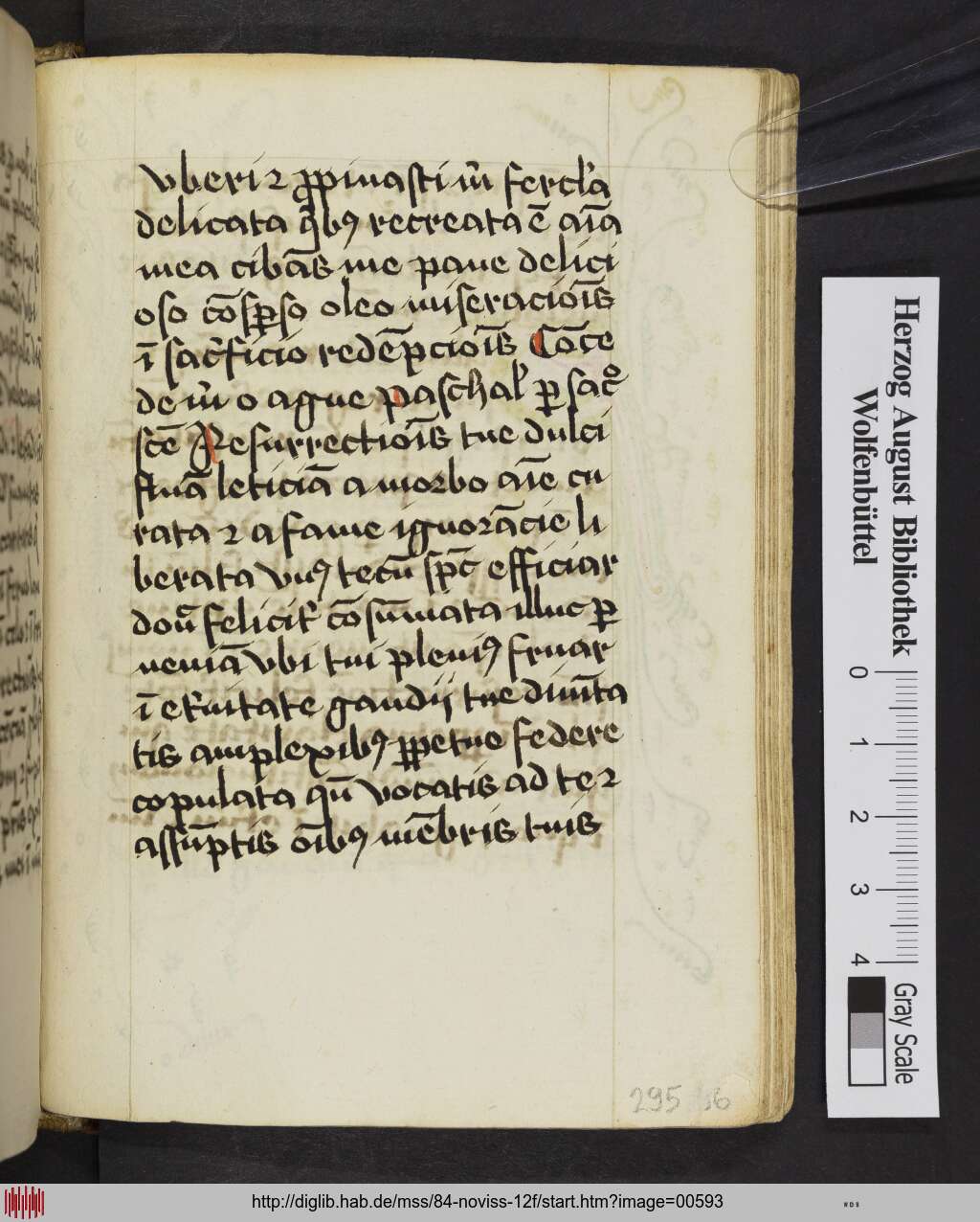 http://diglib.hab.de/mss/84-noviss-12f/00593.jpg