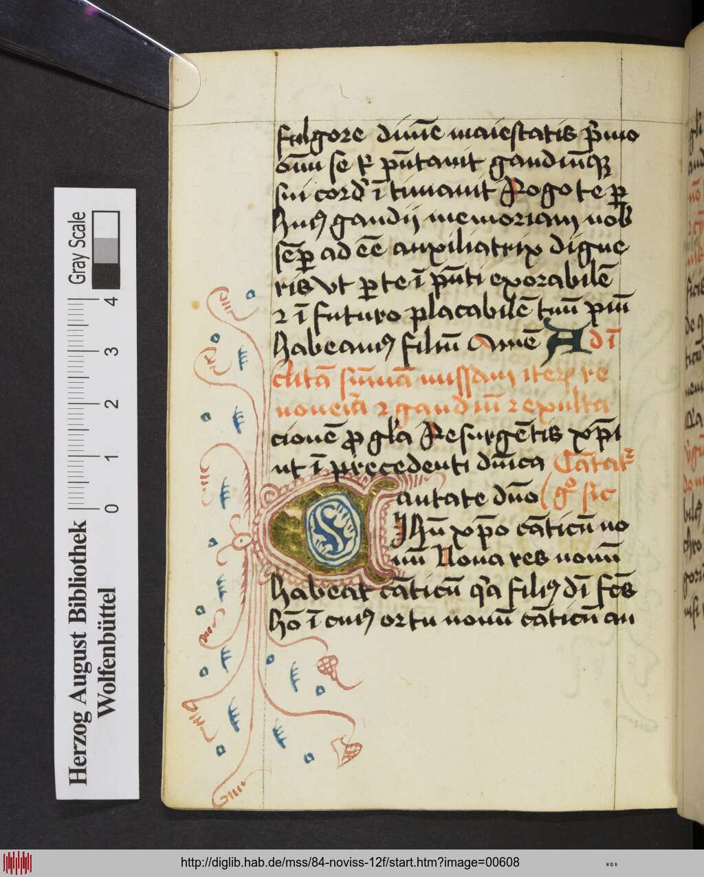 http://diglib.hab.de/mss/84-noviss-12f/00608.jpg