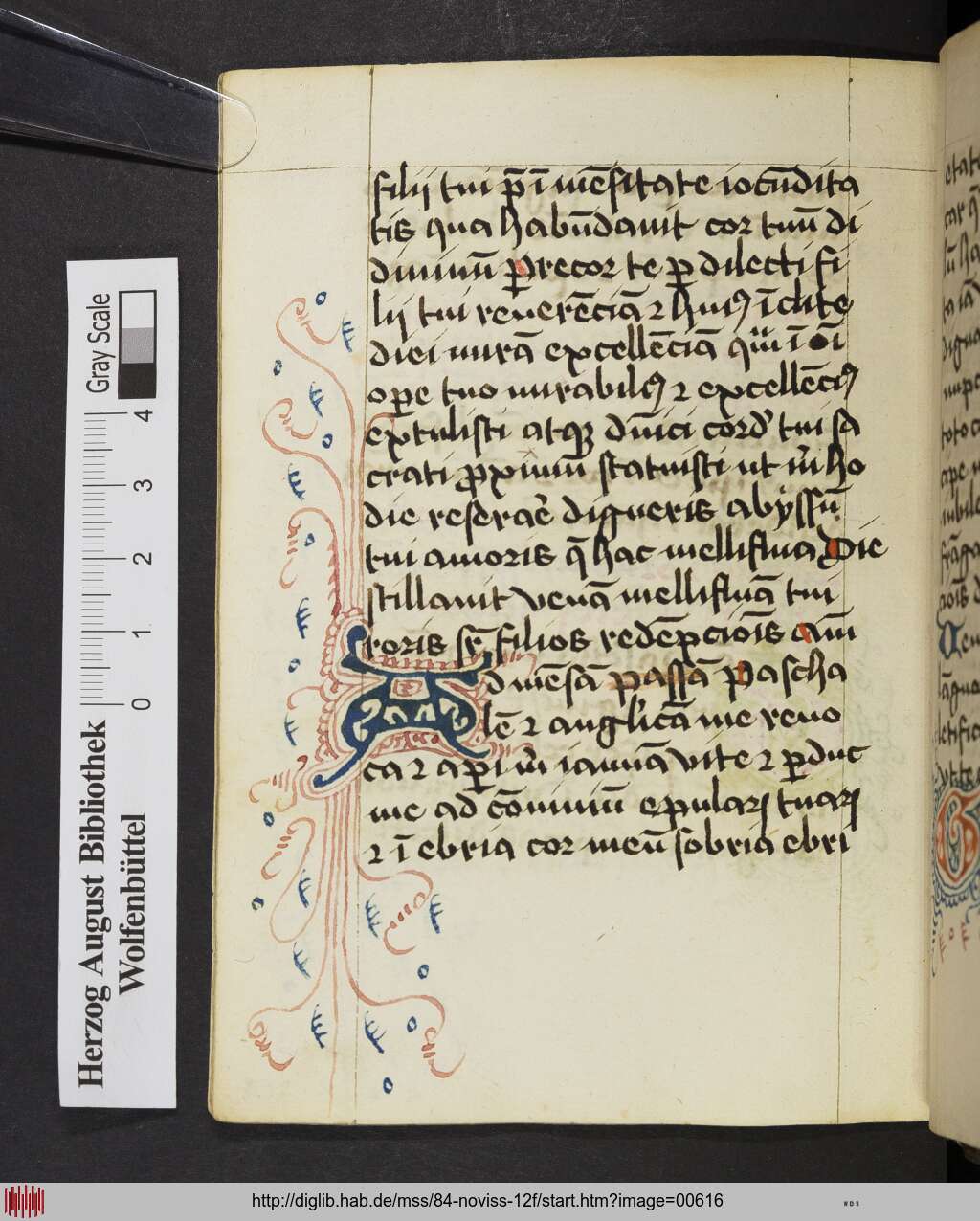 http://diglib.hab.de/mss/84-noviss-12f/00616.jpg