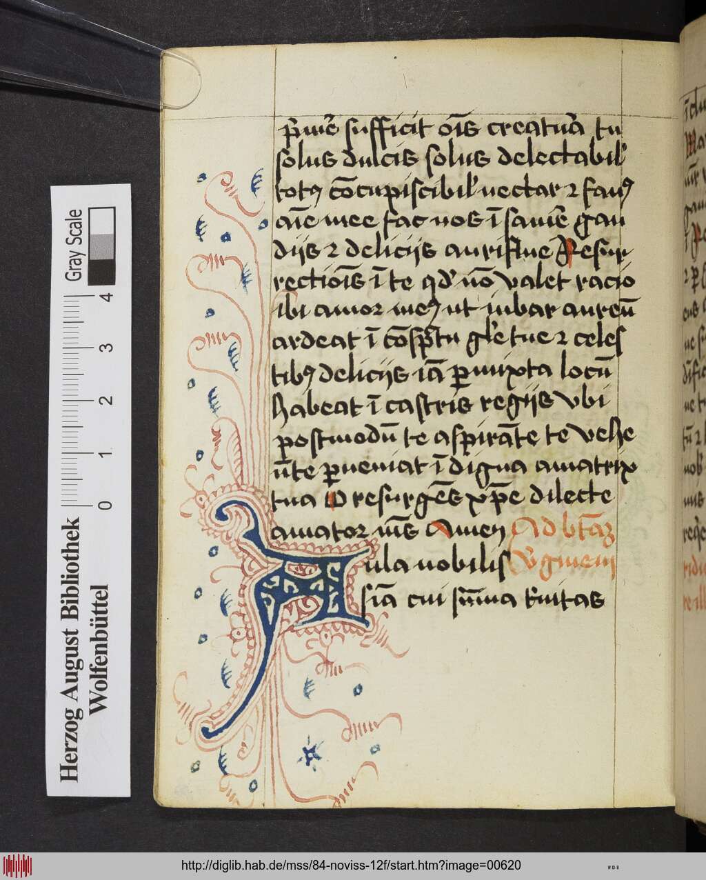 http://diglib.hab.de/mss/84-noviss-12f/00620.jpg