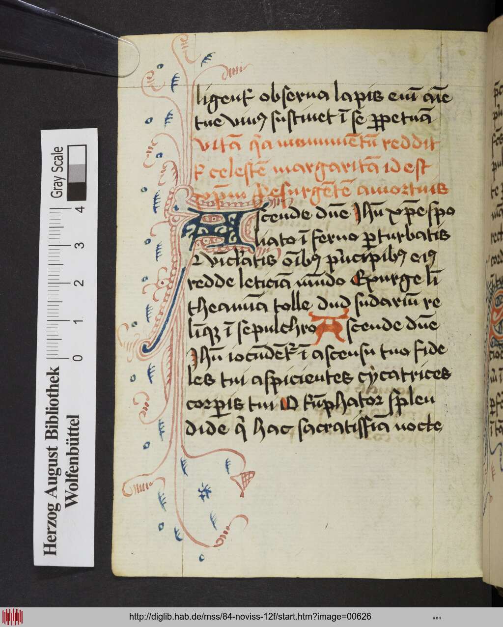 http://diglib.hab.de/mss/84-noviss-12f/00626.jpg