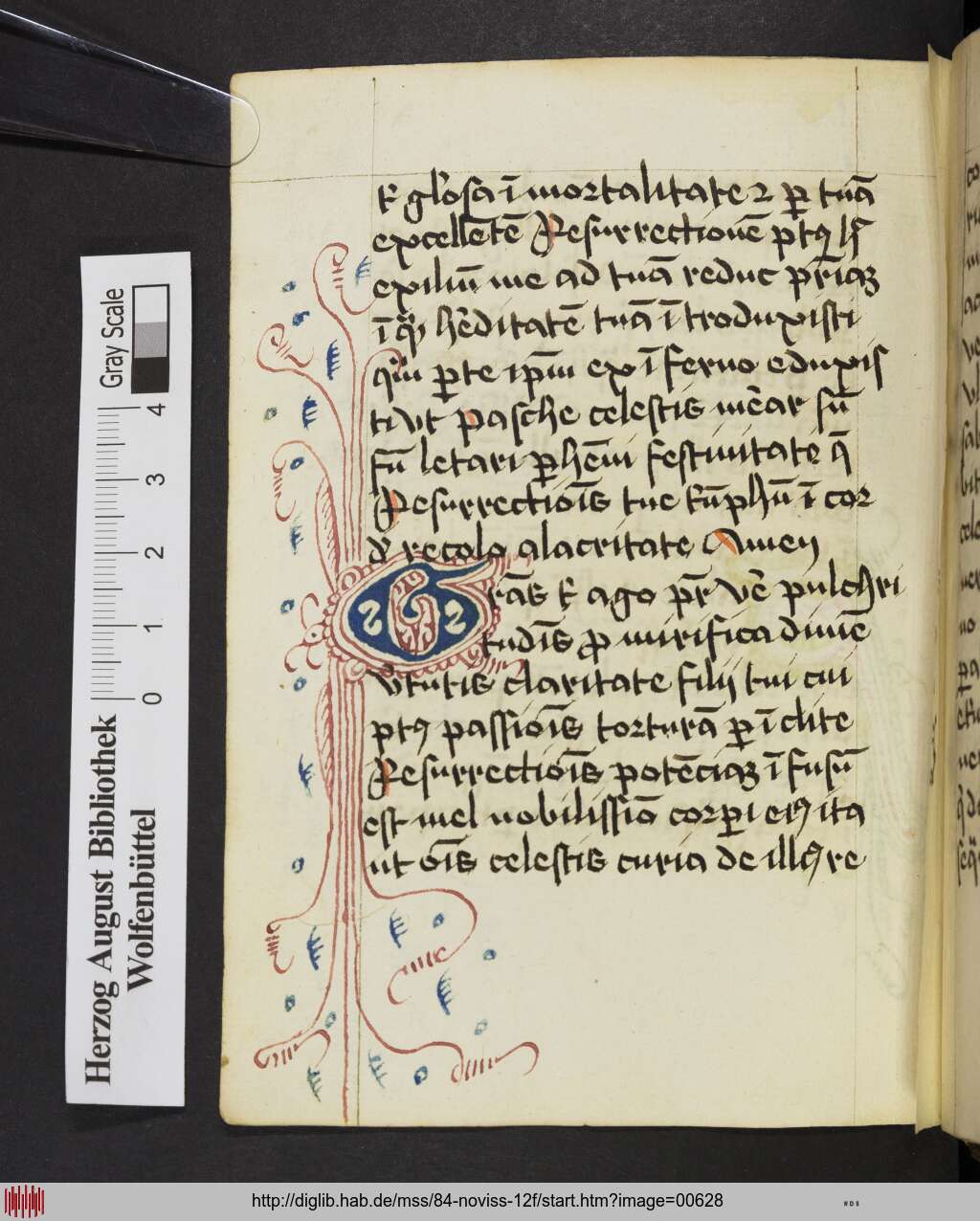 http://diglib.hab.de/mss/84-noviss-12f/00628.jpg