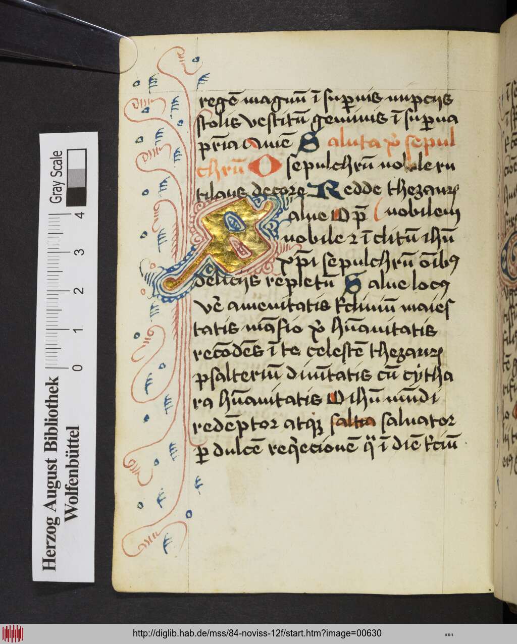 http://diglib.hab.de/mss/84-noviss-12f/00630.jpg