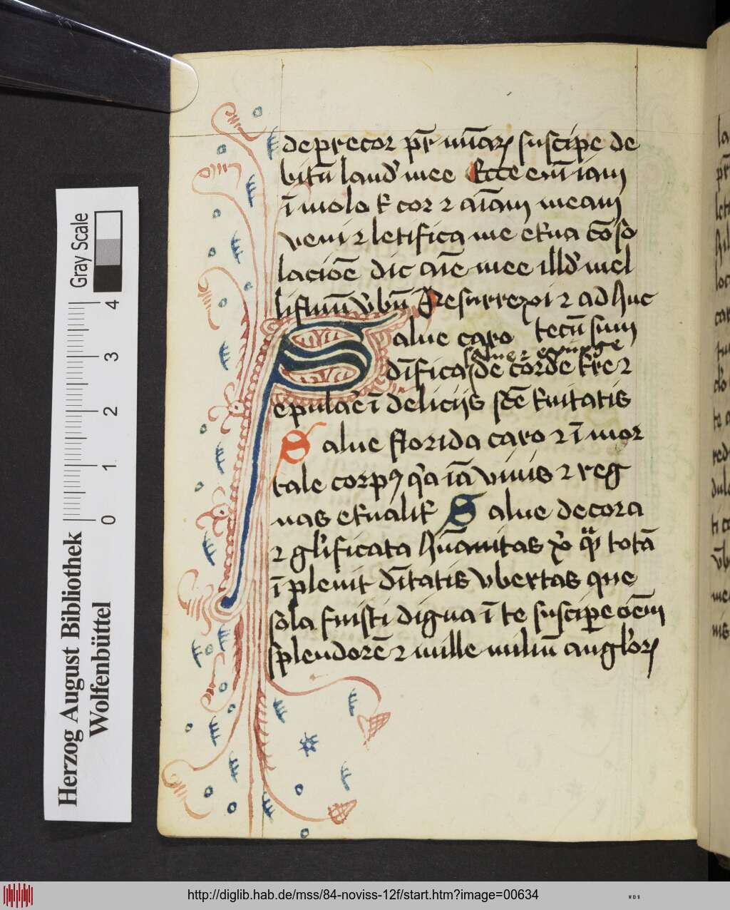 http://diglib.hab.de/mss/84-noviss-12f/00634.jpg