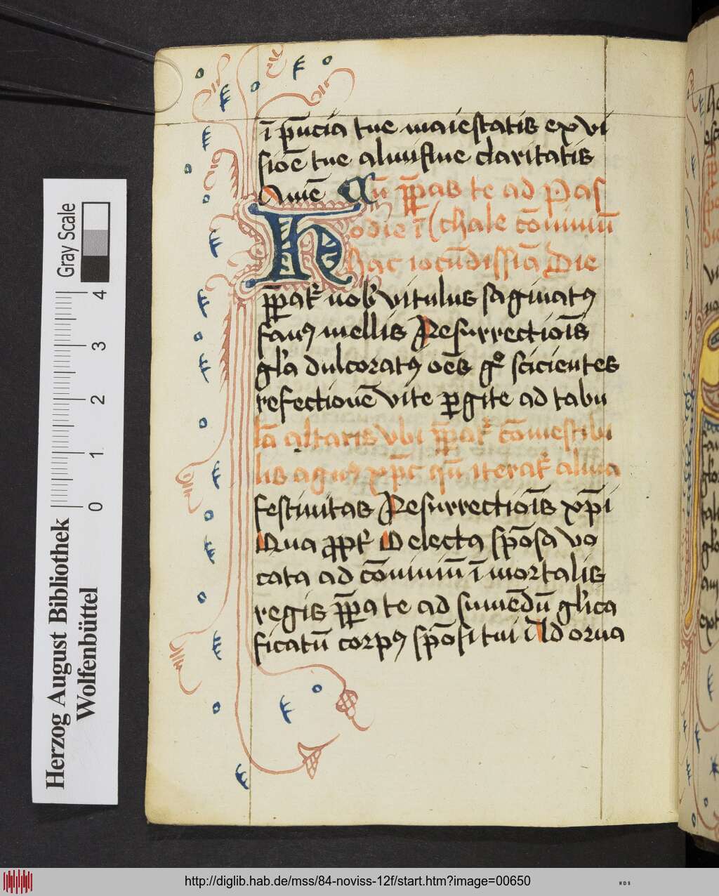 http://diglib.hab.de/mss/84-noviss-12f/00650.jpg