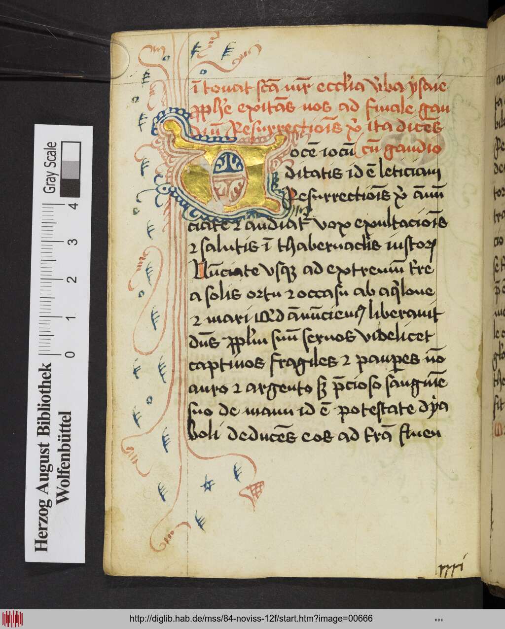 http://diglib.hab.de/mss/84-noviss-12f/00666.jpg