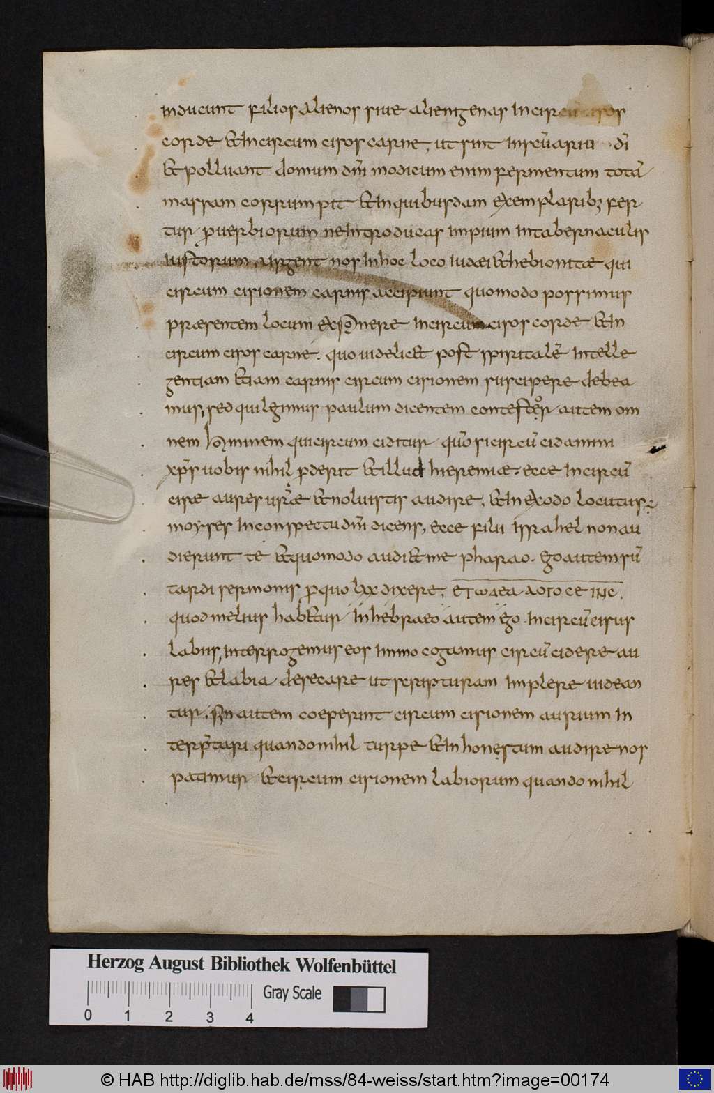http://diglib.hab.de/mss/84-weiss/00174.jpg