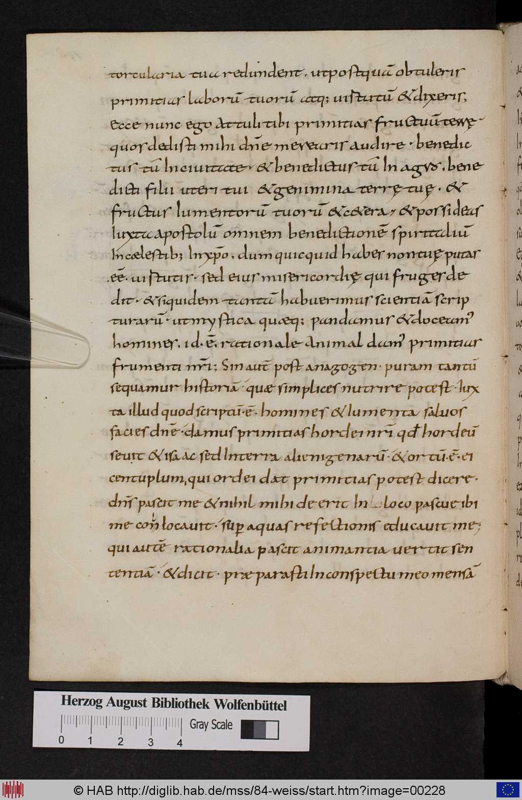http://diglib.hab.de/mss/84-weiss/00228.jpg